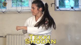 Tekki Shodan Kata  Karate Shotokan  by Master Di [upl. by Heer]