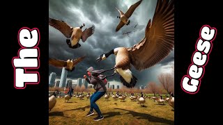 Attack Of The Canadian Geese 🦆 [upl. by Nollie]