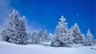 Beautiful Relaxing Music Peaceful Soothing Instrumental Music quotWinter Woodsquot by Tim Janis [upl. by Nonarb]