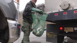 WVDNR increases Buffalo Creek trout stocking [upl. by Sikras235]