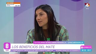 8AM  Los beneficios del Mate [upl. by Cammi794]