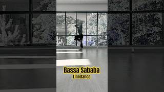 Bassa Sababa linedance 강사린다 건강한라인댄스 [upl. by Enilekcaj]