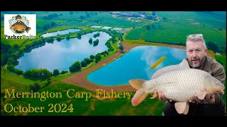 Merrington Carp Fishery [upl. by Sergius]