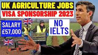 UK Agricultural Jobs With Visa Sponsorship 2023 Fruit Picking Seasonal Work Visa No IELTS [upl. by Anelak]