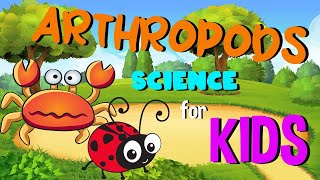 Arthropods  Science for Kids [upl. by Maxama868]