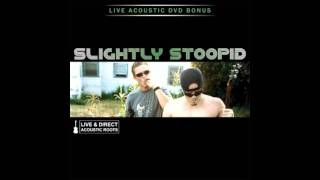 Slightly Stoopid  WisemanAcoustic [upl. by Marx198]