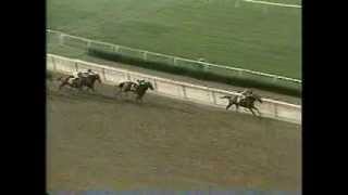 Caveat  1983 Belmont Stakes [upl. by Chantalle]