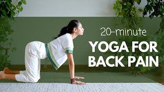 20 Minute Yoga for BACK PAIN  पीट दर्द के लिए योग satvicyoga [upl. by Karee]