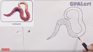 9th PB Biology Diagram 17Earthworm [upl. by Nymzaj828]