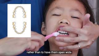 Parents’ Guide to Toothbrushing and Flossing for Children ages 36 years old [upl. by Eldoree]