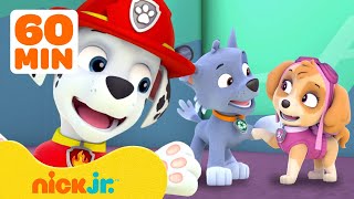 PAW Patrol Friendship Adventures amp Rescues w Marshall and Skye  1 Hour Compilation  Nick Jr [upl. by Esikram]