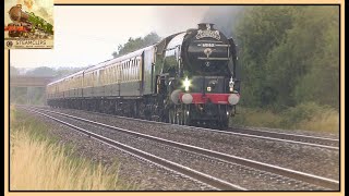 60163 Tornado at Speed an Impression of 100 mph on the Torbay Express 23rd July [upl. by Laeahcim]