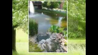 Westgate Branson Woods Resort Photo Show [upl. by Nauh858]