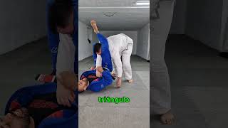 triângulo jiujitsu nogi jiujitsu [upl. by Eerat151]