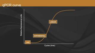 Overview of qPCR [upl. by Nosilla]