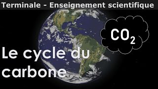 Le cycle du carbone  Enseignement scientifique  Terminale [upl. by Ailam64]