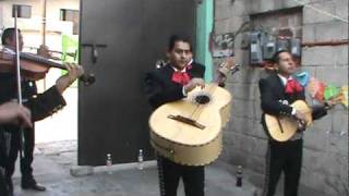 EL CARRETERO CON EL quot MARIACHI SOL Y ORO quot [upl. by Abdel]