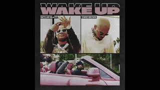 Skylar Blatt Wake Up Ft Chris Brown Clean [upl. by Herta805]