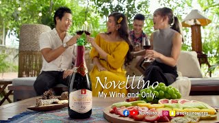 Moments Made More Special with Novellino Full Video [upl. by Akemeuwkuhc908]