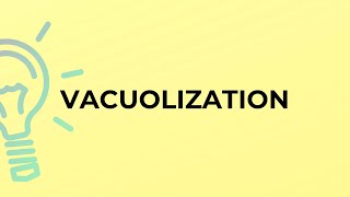 What is the meaning of the word VACUOLIZATION [upl. by Eilatam]