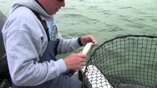 Musky Fishing Adventures – Keyes Outdoors 2012  8th show Detroit November Muskies Part 1Am4v [upl. by Lyrret]