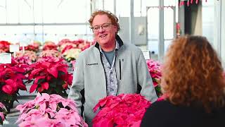 2023 Poinsettia Variety Day at Plantpeddler [upl. by Esther]