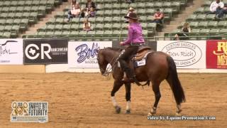 Chics Got Guns ridden by Maggie Cincotta  2016 NRCHA Snaffle Bit Futurity NP Ltd [upl. by Sage]