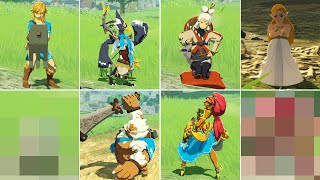 ゼルダ無双厄災の黙示録【Switch】 全キャラ待機モーションまとめ ニンテンドースイッチ [upl. by Ahsienat]