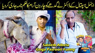 Goga Pasroori Veterinary Doctor and Saleem Albela come with Doncky Funny [upl. by Eissim658]