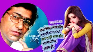 মামুন নদীয়ার সেরা পাচটি গান  লালনগীতি  Top 5 Song  Mamun Nodia Official  Bangla Baul Song [upl. by Scopp]