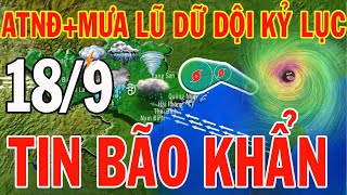 Dự báo thời tiết hôm nay và ngày mai 1892024  Dự báo thời tiết trong 3 ngày tới [upl. by Onaicnop861]