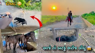 આજે તો બટકું ભરી લેત 😱  Aaj surya ni long riding kari  Dog ne su thayu [upl. by Thomasina]