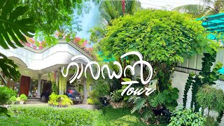 Garden Tour  നമ്മുടെ ഗാർഡനിലെ വിശേഷങ്ങൾ 💕 [upl. by Enened]