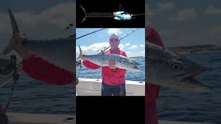 FishBazaruto checks in with a quick 2023 Bazaruto marlin fishing season report MidNov 2023 [upl. by Hakim]