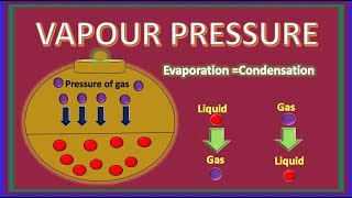 Vapour Pressure Animation  Definition  Examples amp Factors affecting Vapour Pressure  Chemistry [upl. by Ambrogio103]