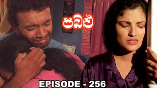 Pabalu  Episode 256 20231006 [upl. by Roinuj]