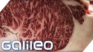 150 Euro pro Portion So schmeckt das edelste Fleisch der Welt  Galileo  ProSieben [upl. by Enelrae961]