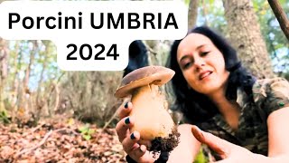 PORCINI UMBRI  LE CASTAGNOLE NERE DI OTTOBRE [upl. by Ellehsim]