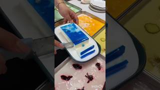 Grass Milk Pudding new food streetfood shorts shortvideo viralvideo satisfying baby sweet [upl. by Silenay964]