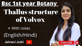 Volvox Thallus Structure NotesBsc 1st year Botany [upl. by Yentrok]