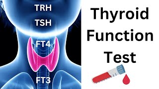 Mastering Thyroid Function Tests A Comprehensive Guide to TSH FT4 FT3 Testing and Interpretation [upl. by Haas]