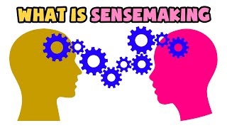 What is Sensemaking  Explained in 2 min [upl. by Embry]