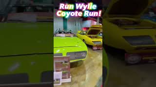 Run Wylie Coyote Run Here Comes the Roadrunner Superbirds shorts [upl. by Yeclehc]