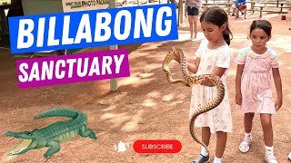 Billabong Sanctuary  Townsville [upl. by Hoxie]