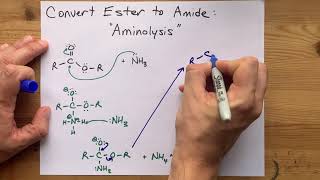 Amides Structure and Properties  HSC Chemistry [upl. by Ariamo324]