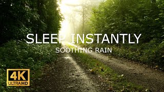 Soothing Rain to Sleep Instantly Rain Sounds for Sleeping Insomnia Studying Relaxing Raining [upl. by Prowel]