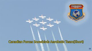 Canadian Forces Snowbirds Aerobatic TeamShort [upl. by Sldney652]