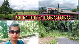 SILIGURI TO RONG TONG TOUR 2024🎢 শিলিগুড়ি থেকে রংটং চলে গেলাম ঘুরতে ⛰️viralvideo gayatriroyvlog [upl. by Daniela419]