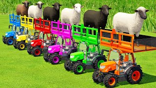 TRANSPORTING SHEEP WITH COLORED RIGITRAC TRACTORS amp MAN TRUCKS  Farming Simulator 22 [upl. by Wind857]