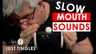 ASMR  Slow Ear Eating  Slow Mouth Sounds  NO TALKING  1 Hour [upl. by Htepsle434]